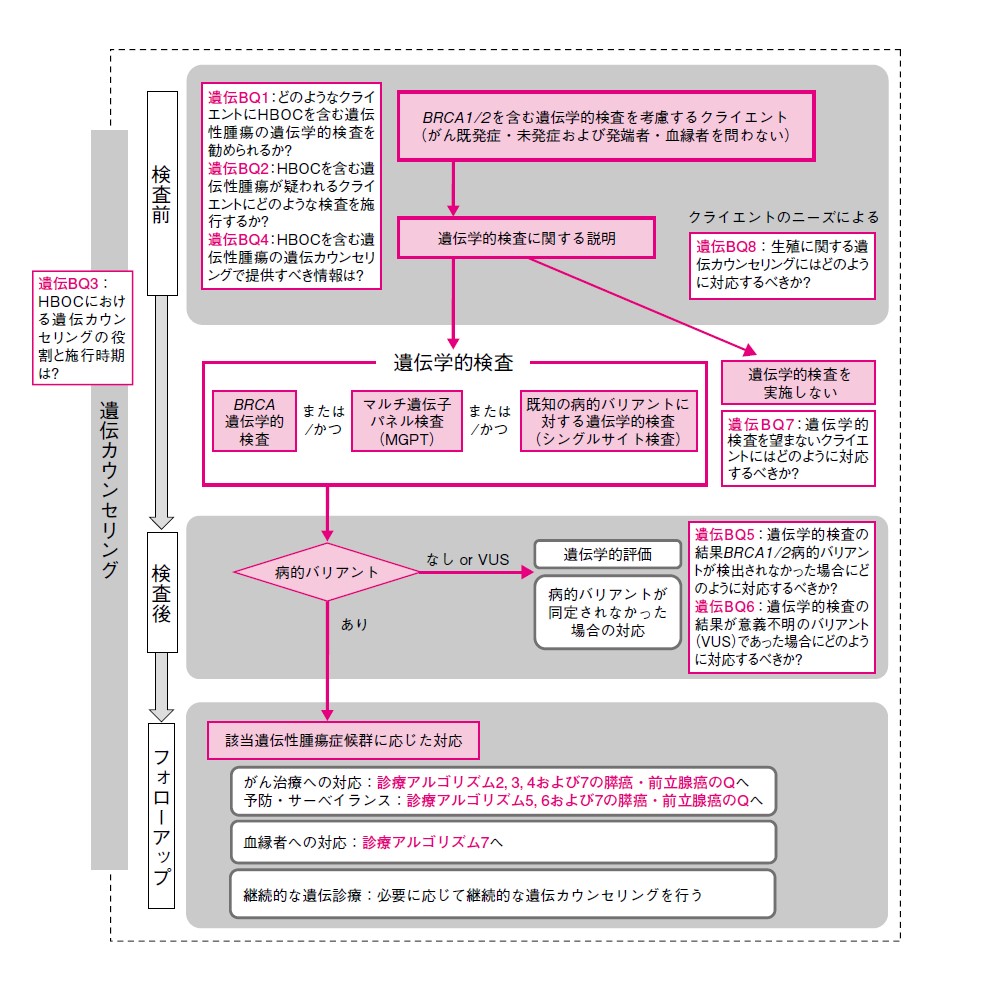 図 HBOCを含む遺伝性腫瘍の遺伝学的検査が考慮されるクライエントへの遺伝カウンセリングと遺伝学的検査の実施