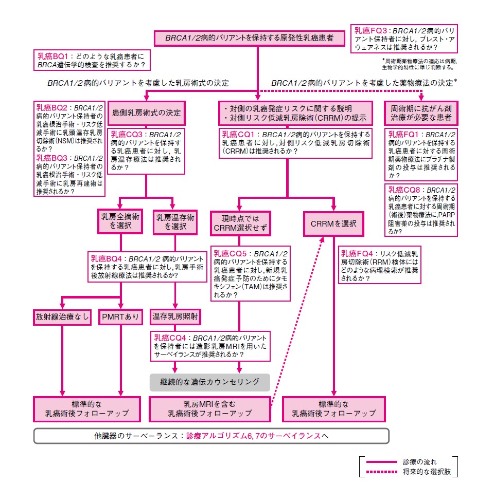 図 BRCA1/2病的バリアントを保持する原発性乳癌患者に対する診療（卵巣癌未発症）