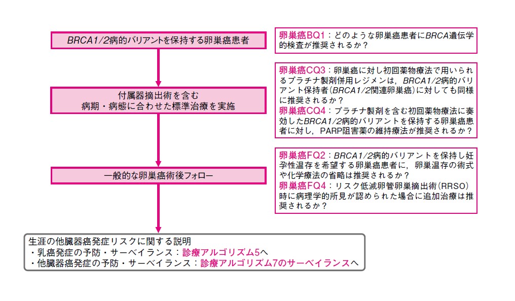 図 BRCA1/2病的バリアントを保持する卵巣癌患者に対する診療（他臓器癌未発症）