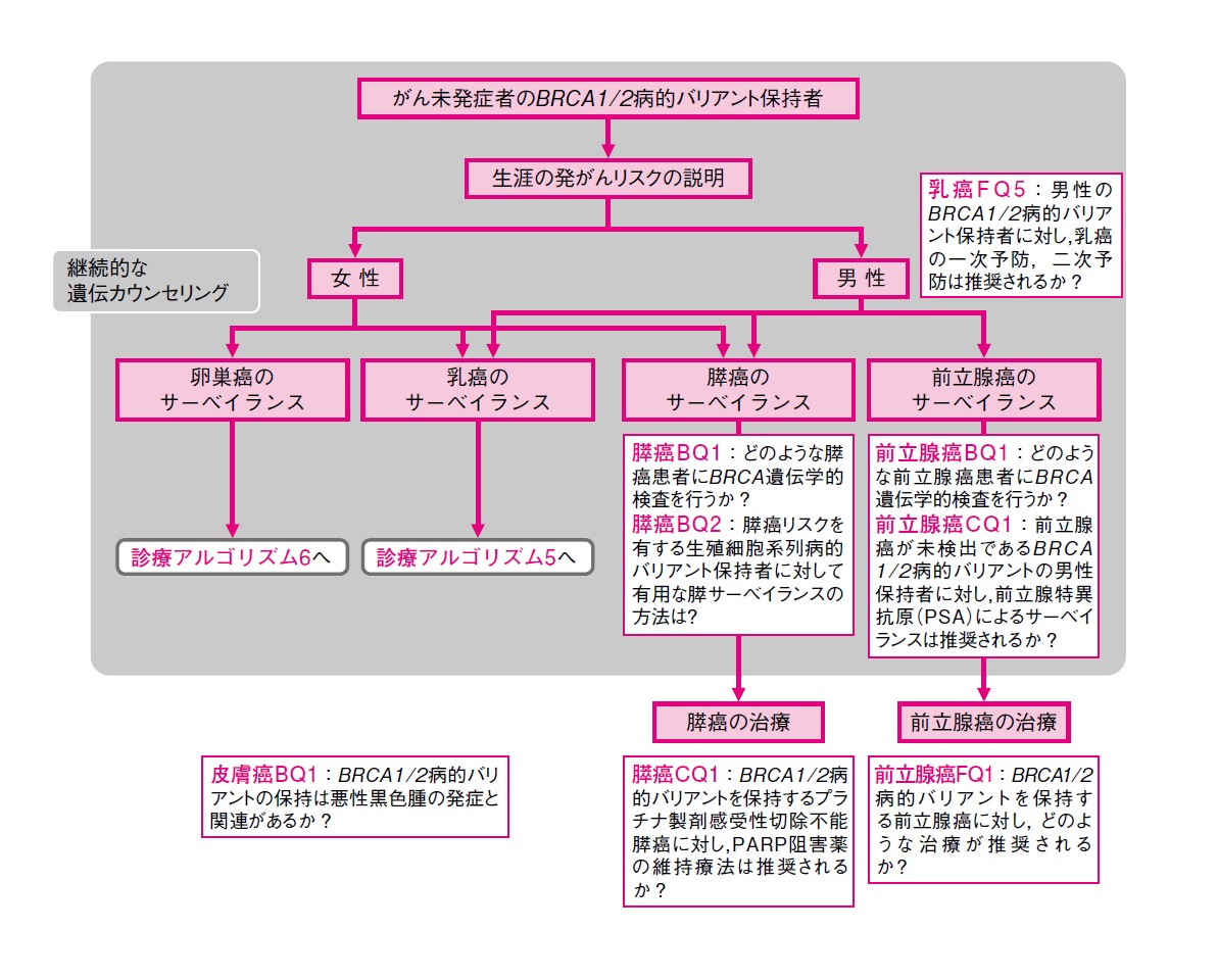 図 がん未発症者のBRCA1/2病的バリアント保持者のマネジメント