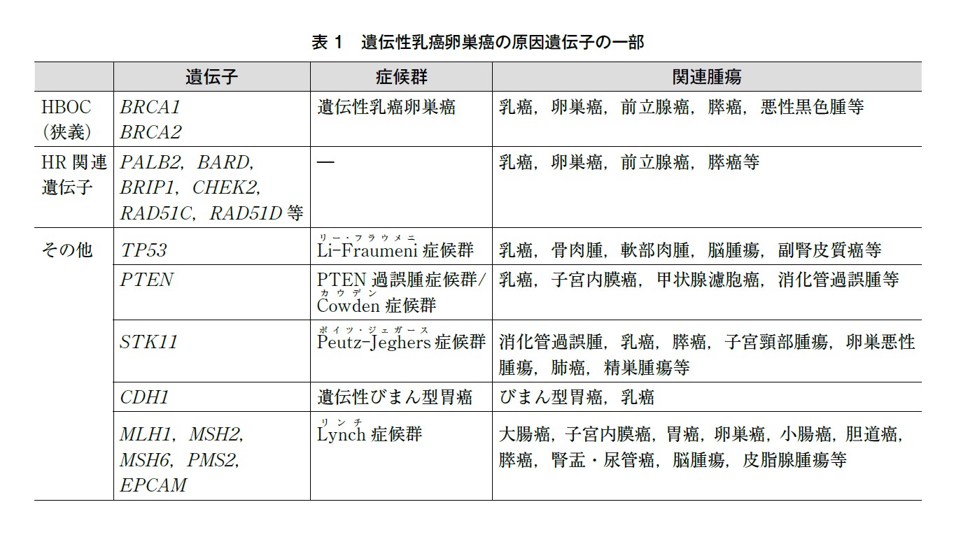 表1 遺伝性乳癌卵巣癌の原因遺伝子の一部