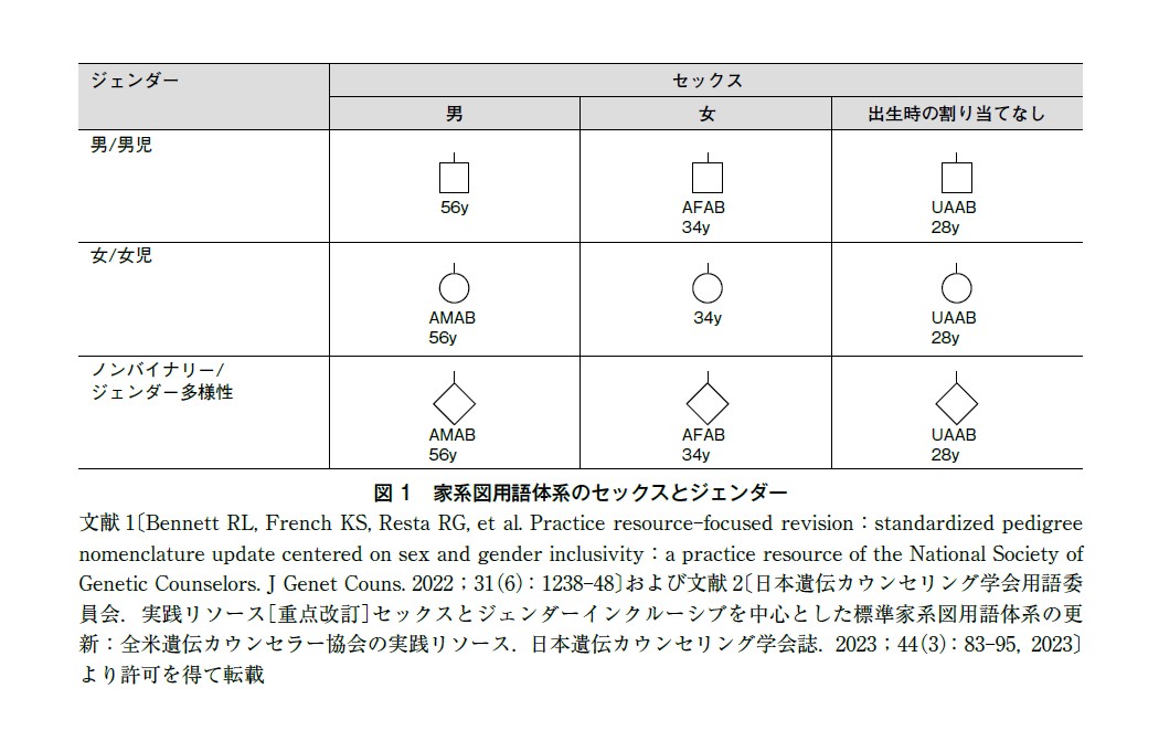 図1 家系図用語体系のセックスとジェンダー