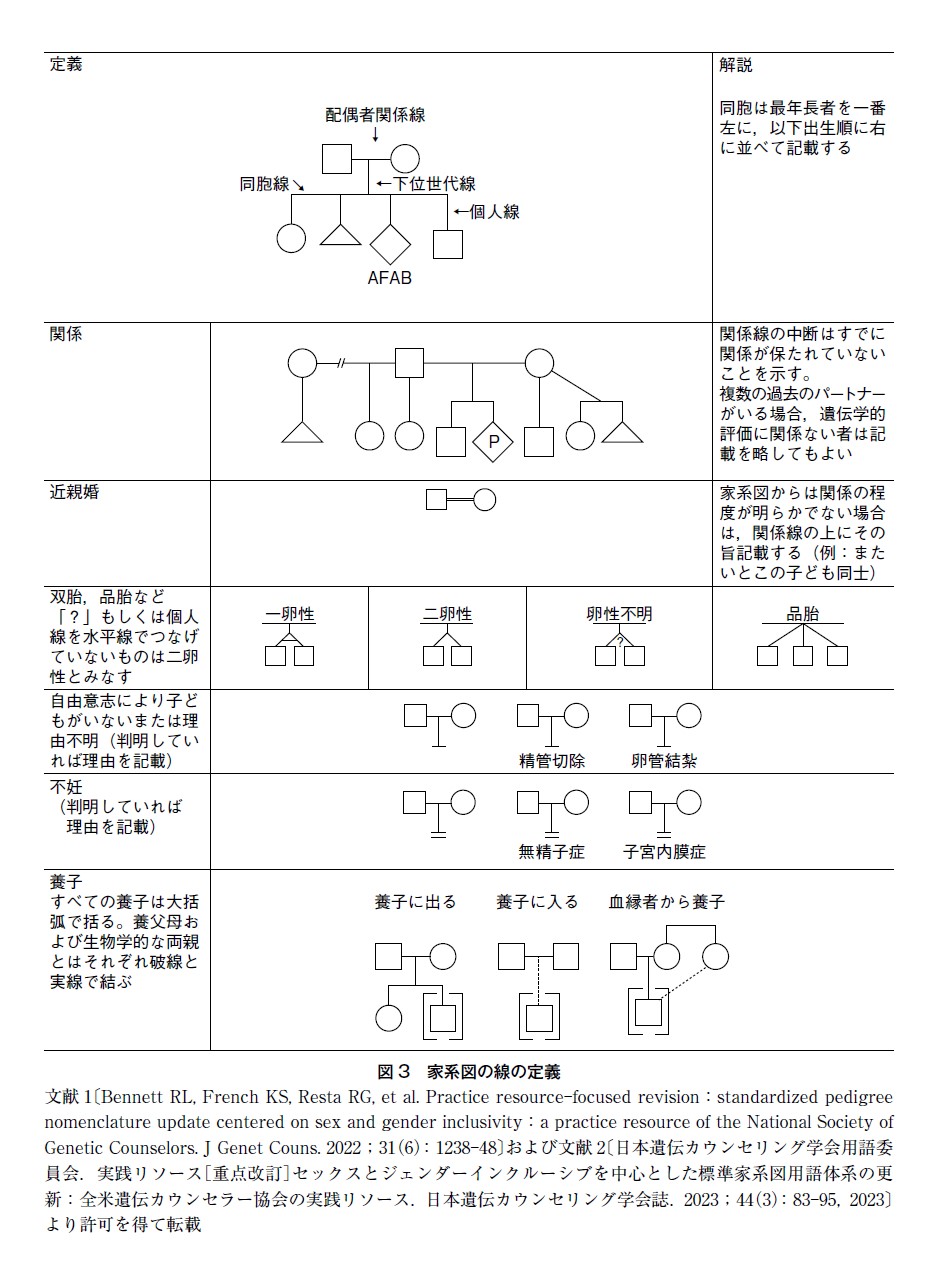 図3 家系図の線の定義