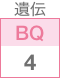 遺伝BQ4