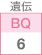 遺伝BQ6